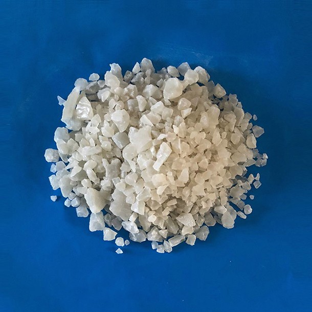 麻豆传媒在线免费观看